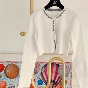 🚩steal authentic Alexander Wang Ivory Logo Crop Top